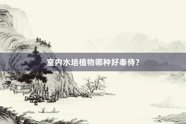 室内水培植物哪种好奉侍？